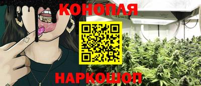 сатива Жуковский