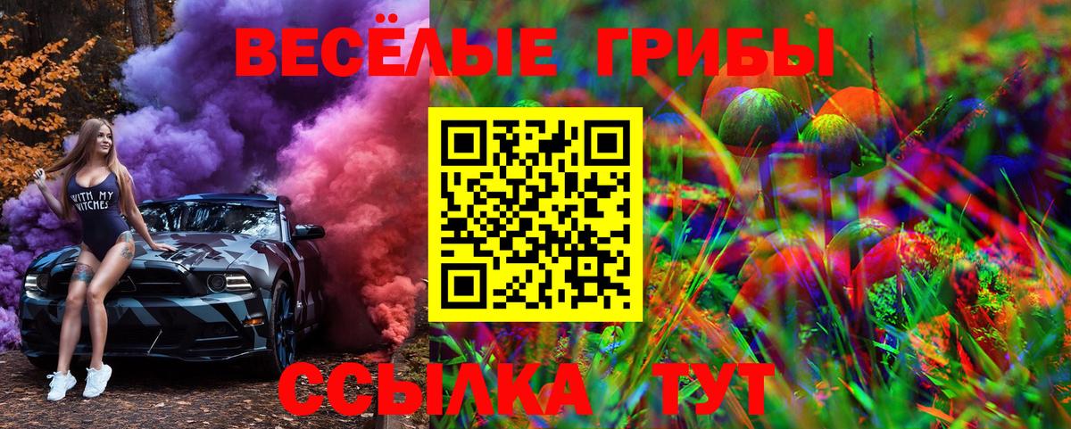 Надым  Псилоцибиновые грибы Psilocybe  Вход с VPN  Галлюциногенные грибы прущие грибы 
